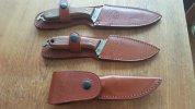 DPx group in sheaths.jpg DPx group in sheaths.jpg