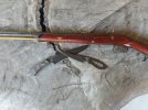 Buck 535 (3).jpg
