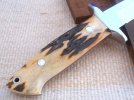 Knife Hunter #178 Chute Stag CPM 154 OBVERSE handle.jpg