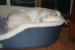 IMG_3935.jpg
