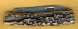 PopcornScagelBack.jpg