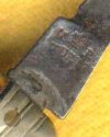 Quill remnant 2.jpg