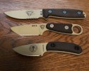 esee2.jpg esee2.jpg