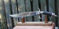 stag bowie 018.jpg
