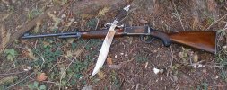 stag bowie 035.jpg