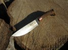 deerantler005.jpg