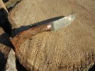 deerantler006.jpg