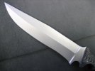HARLEY BATTLE BOWIE 118.jpg