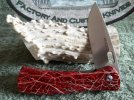 Buck Vantage Pro Small Red Cactus #2.jpg