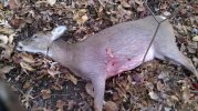 2010-12-11_11-09-06_664.jpg