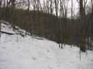 IMG_0062.jpg