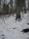 IMG_0063.jpg