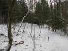 IMG_0071.jpg
