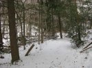 IMG_0072.jpg