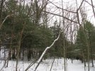 IMG_0073.jpg