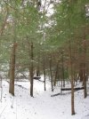 IMG_0076.jpg