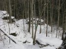 IMG_0077.jpg