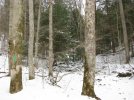 IMG_0078.jpg