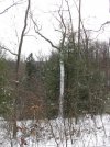 IMG_0084.jpg