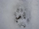IMG_0088.jpg