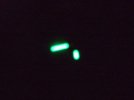 2010_1215Lume0007.jpg