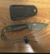 ESEE1.jpg