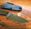 ESEE2.jpg