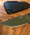 ESEE3.jpg