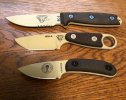 ESEE1.jpg ESEE1.jpg