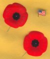Poppies.jpg