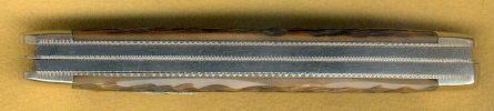 DE Peach Slim stock back.jpg