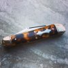 GEC_29_tortoise_01.jpg