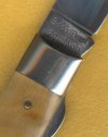 Bulldog Horn 4.jpg