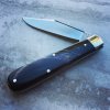 GEC_15_buffalo.jpg