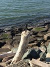 IMG_5010.JPG