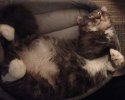 How are you comfortable.jpg