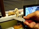 DSC02360.JPG