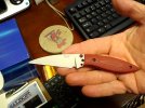 DSC02362.JPG