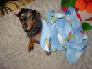 Picture 098.jpg