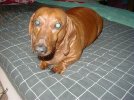 Picture 097.jpg