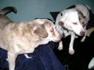 DSC00160.jpg