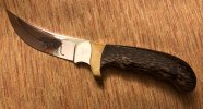 Jag and palm wood.jpg
