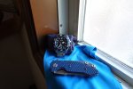 DSC00026.JPG