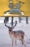 S Claus 5.jpg