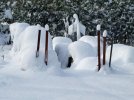 DSCF8109 WOODPILE SNOW 650 MED.jpg