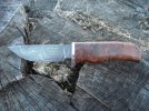 MAPLE HUNTER 002.jpg
