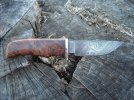 MAPLE HUNTER 003.jpg
