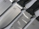 Busse ASH 1 028.jpg