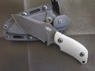 ZT0121-2.jpg