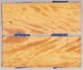 CurlyBoxwood_612_sm.jpg